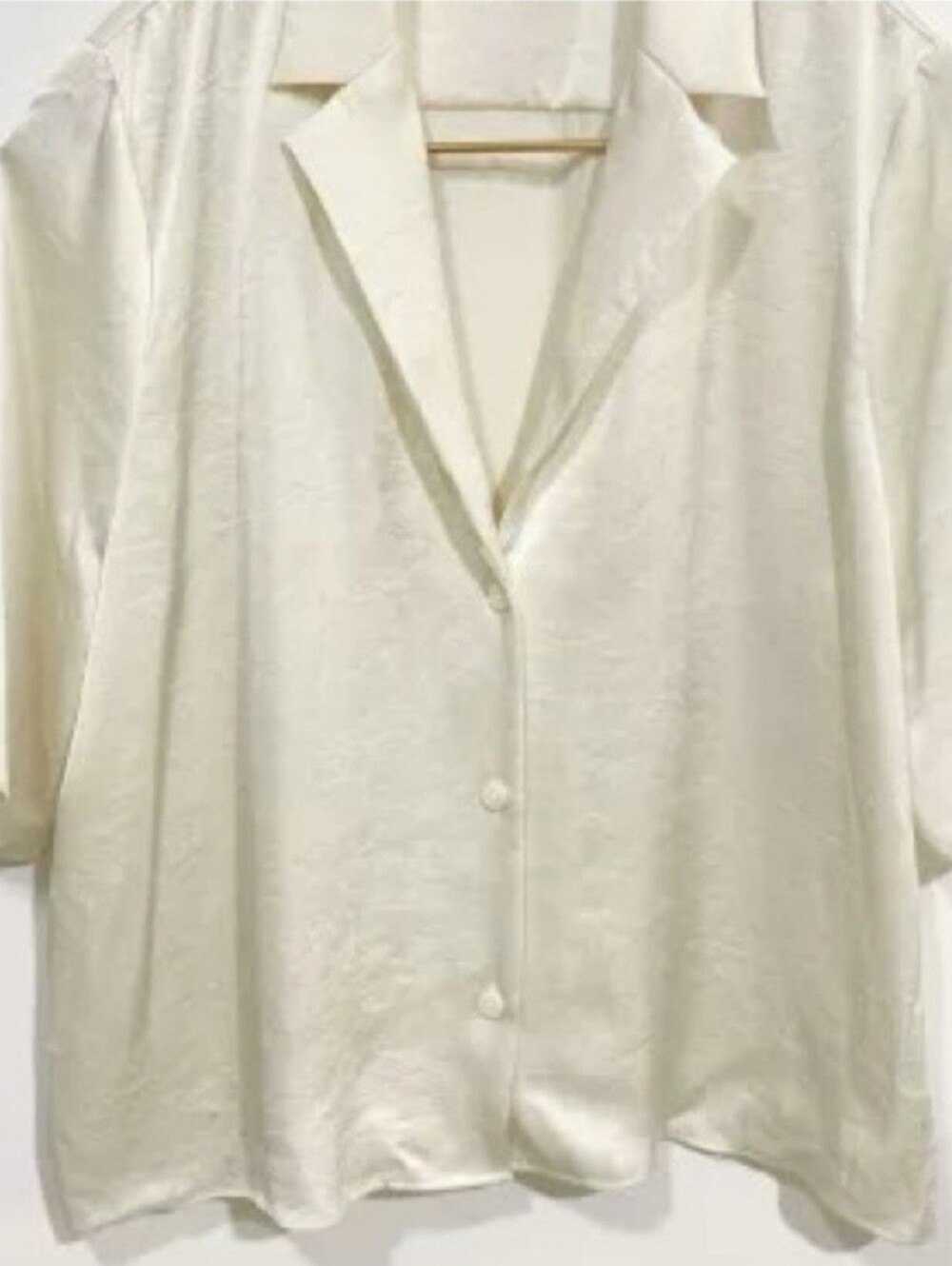 Aritzia Wilfred Beso Shirt